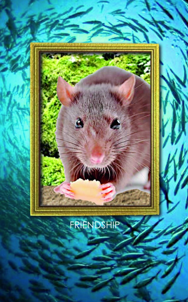 14